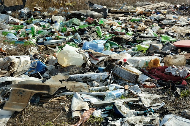 Scientists still know little about how these pollutants move through food webs. (Image by ds_30 via Pixabay)