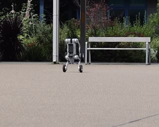 Nottinghamshire Police will trial a robot dog to assist in crime detection. (Image by @nottspolice via Instagram)