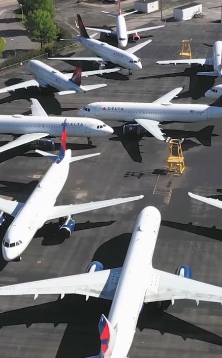 Passengers described the chaotic scene as a “complete shambles” online. (Image by @delta via Instagram)