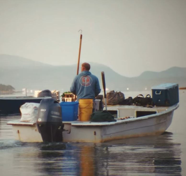 Mainstream Democratic leaders have backed another candidate for the Senate seat. (Image by @grahamformaine via Instagram)