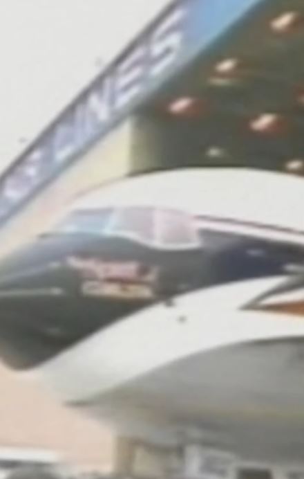 The flight attendant, with over 26 years of experience, apologised for the error. (Image by @delta via Instagram)