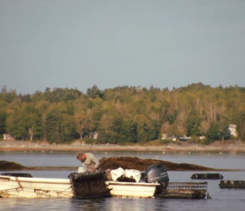 Platner apologised for his posts and has covered the tattoo linked to a Nazi symbol. (Image by @grahamformaine via Instagram)