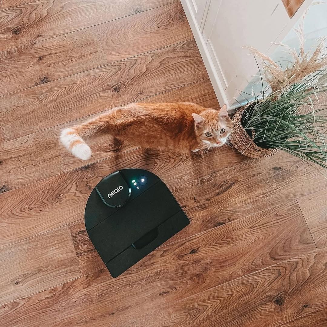 Neato robovac users will soon lose the ability to control their devices through the app. (Image by @neatorobotics via Instagram)
